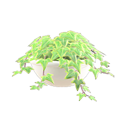 かべかけのはっぱ